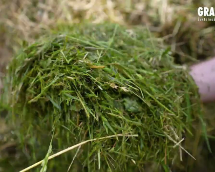 Gramitherm - Graswolisolatie - gemaakt van verloren gras, bermgras !