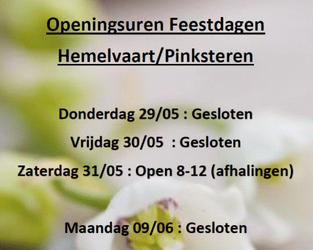 Hemelvaart - Pinksteren