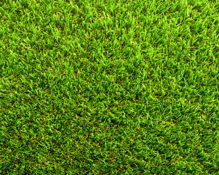 Namgrass kunstgras - GREEN Envie