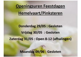 Openingsuren Hemelvaart - Pinksteren